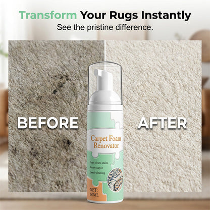 No-Rinse Carpet & Upholstery Stain Remover with Towel